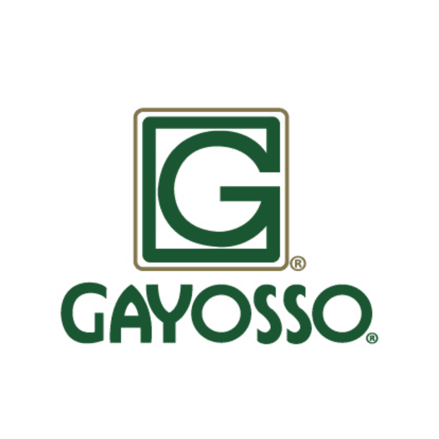 Logo_Gayosso